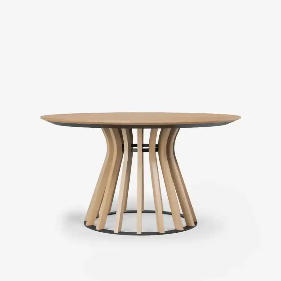 CLUDO Plus