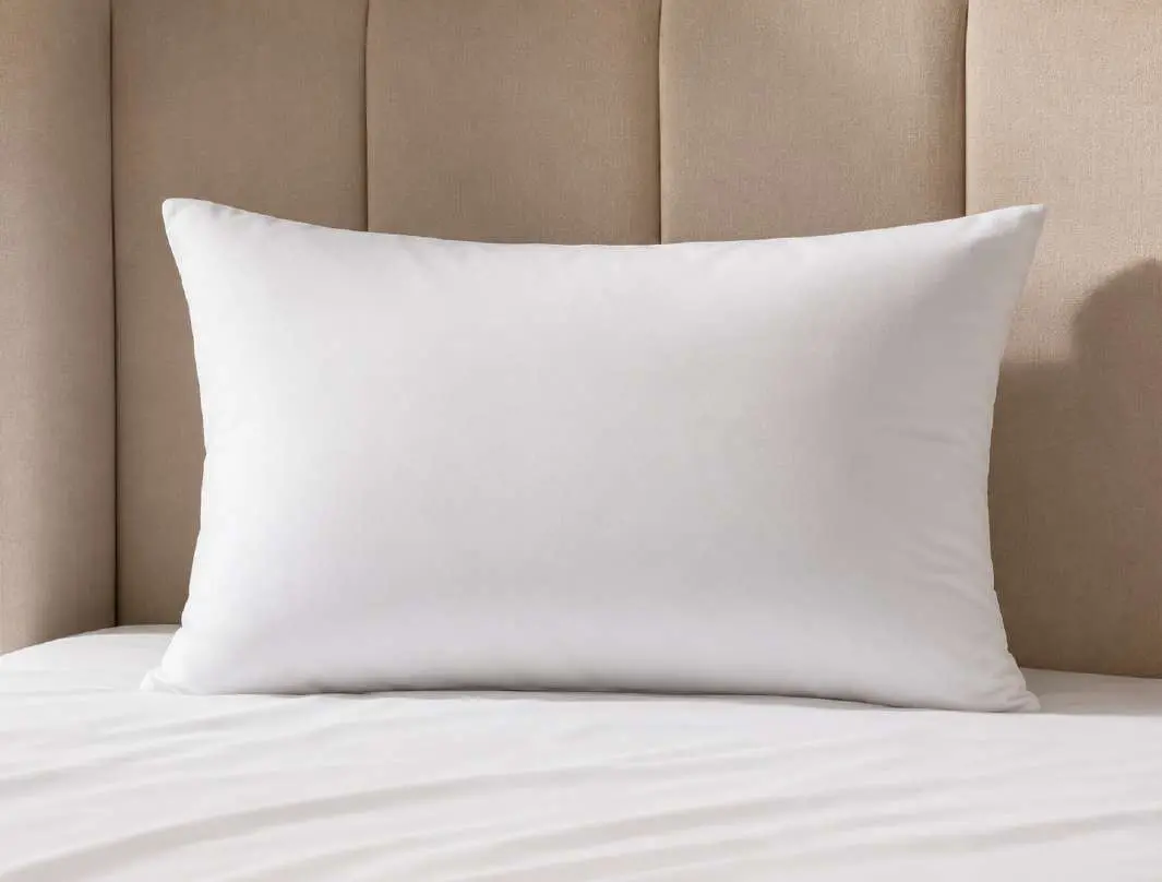 Ordinary Pillow