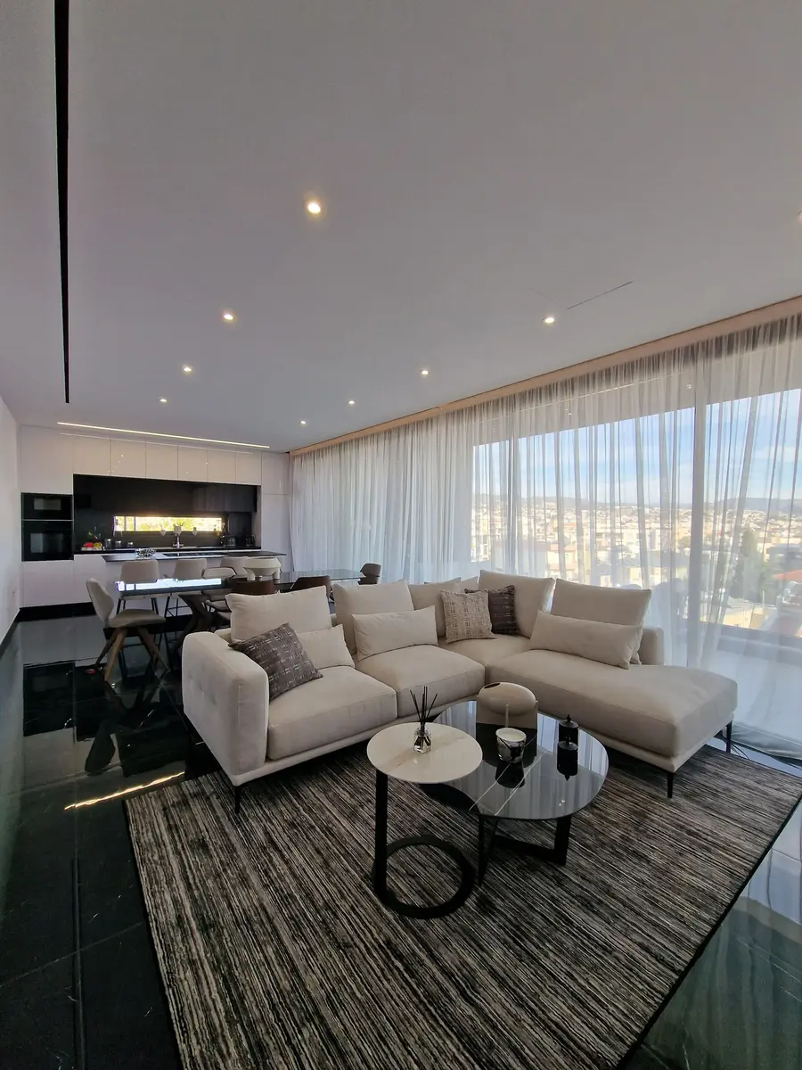 Elysian Residence Penthouses — view 9