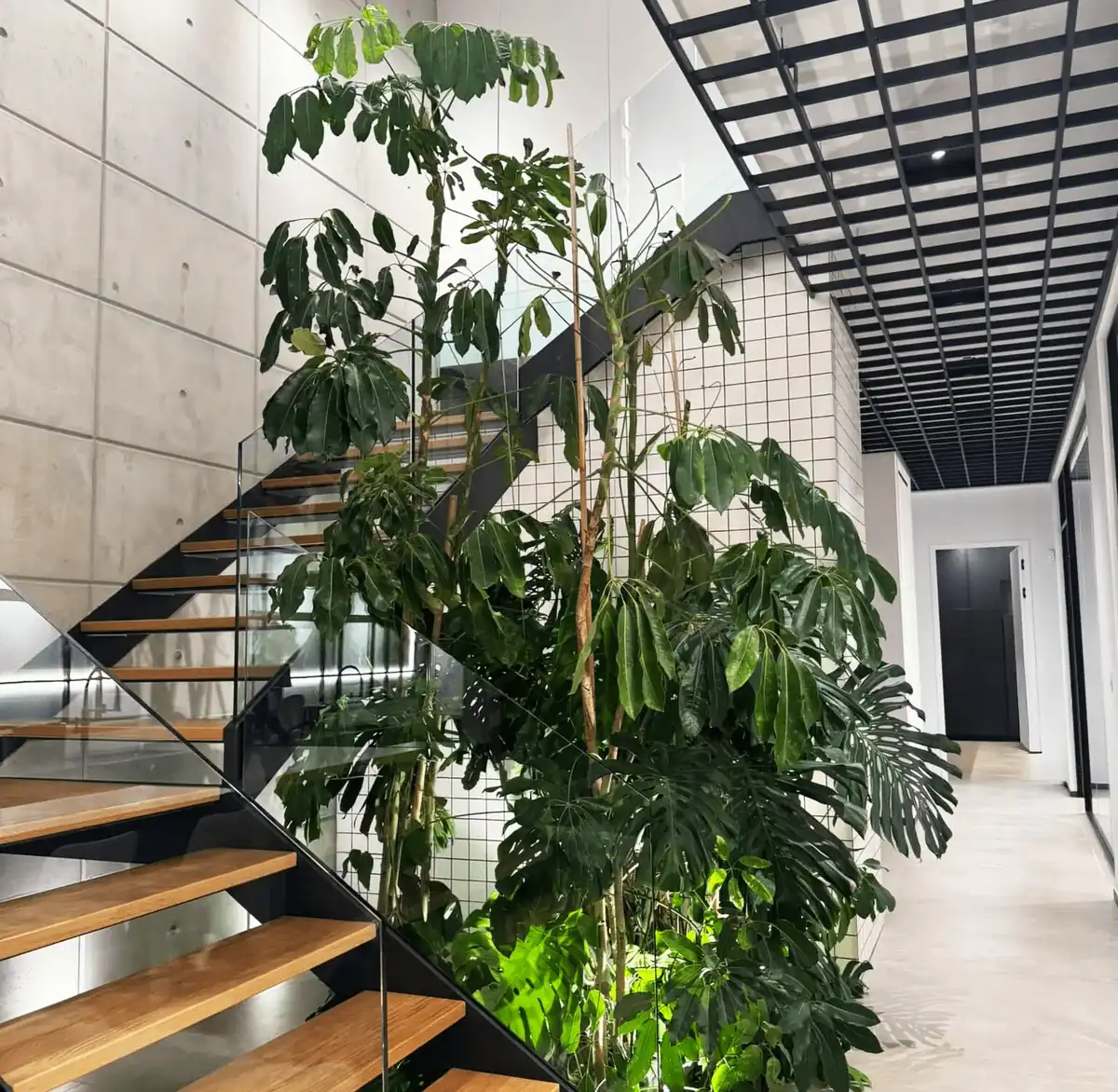 Hadjiloukas Construction Offices — view 4